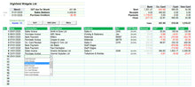 Accounting Spreadsheet with Payments