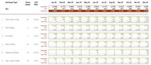 Advanced Cash Flow Spreadsheet Template
