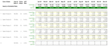Advanced Cash Flow Spreadsheet Template