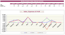 Excel Accounting Spreadsheet Template with Profitability Graph