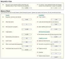 SA103F Balance Sheet in Excel