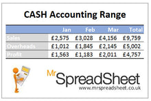Bookkeeping Spreadsheet using the Cash Accounting Method